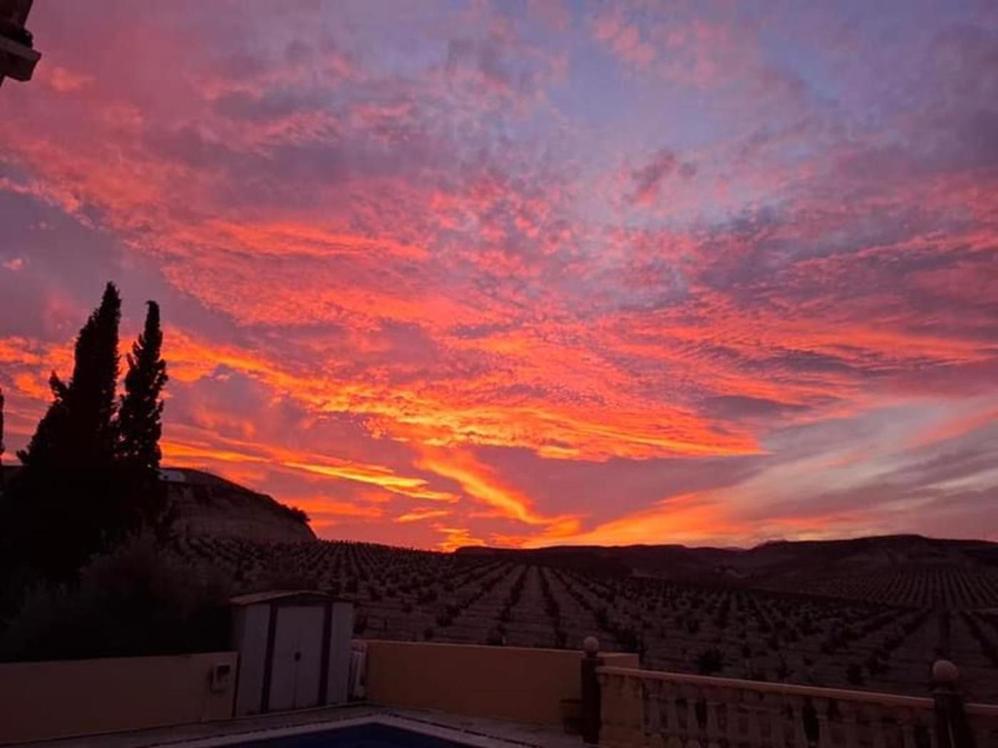 Private Villa Large Pool Elevated Quiet Secluded Location, Near Mojacar Antas Exterior photo